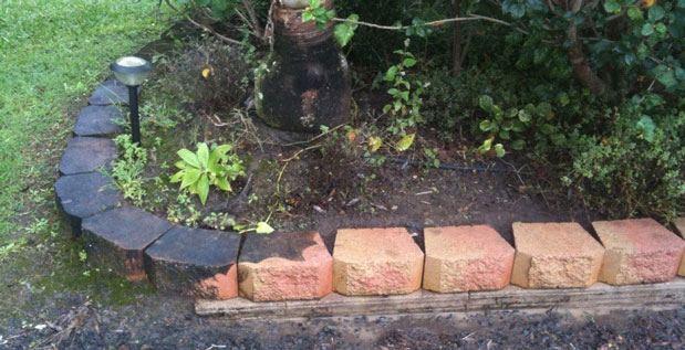 mould on bricks