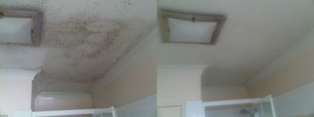 Mould on Ceiling